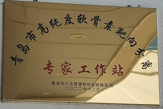青岛市高纯度软骨素靶向分离专家工作站