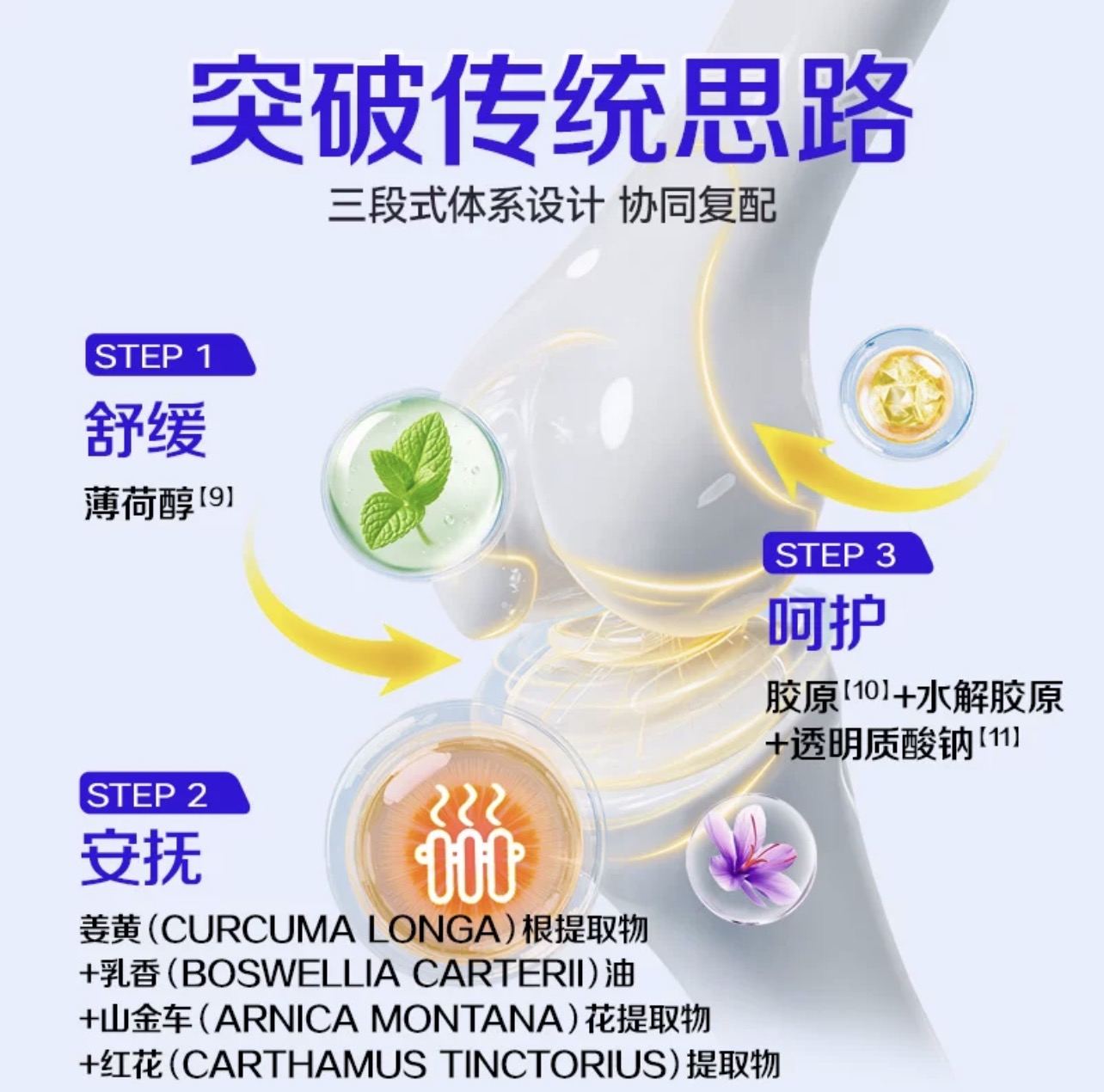 美泰双键软骨素红花舒缓凝胶 - 三段式体系设计